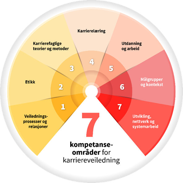 Modellen viser de sju kompetanseområdene i kompetansestandardene 
