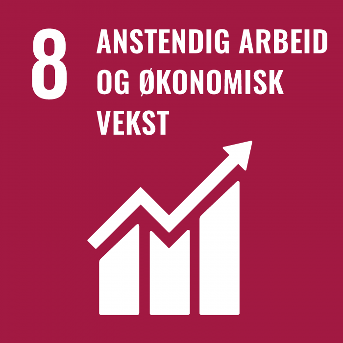 Bilde av ikonet for mål 8 anstendig arbeid og økonomisk vekst