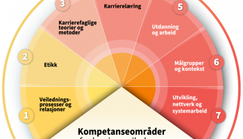 Bilde av modell med kompetansestandarder for karriereveilederen i skolen