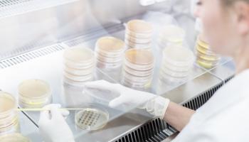 Bilde av en kvinne som jobber i et laboratorium