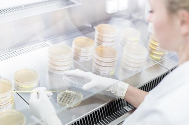 Bilde av en kvinne som jobber i et laboratorium
